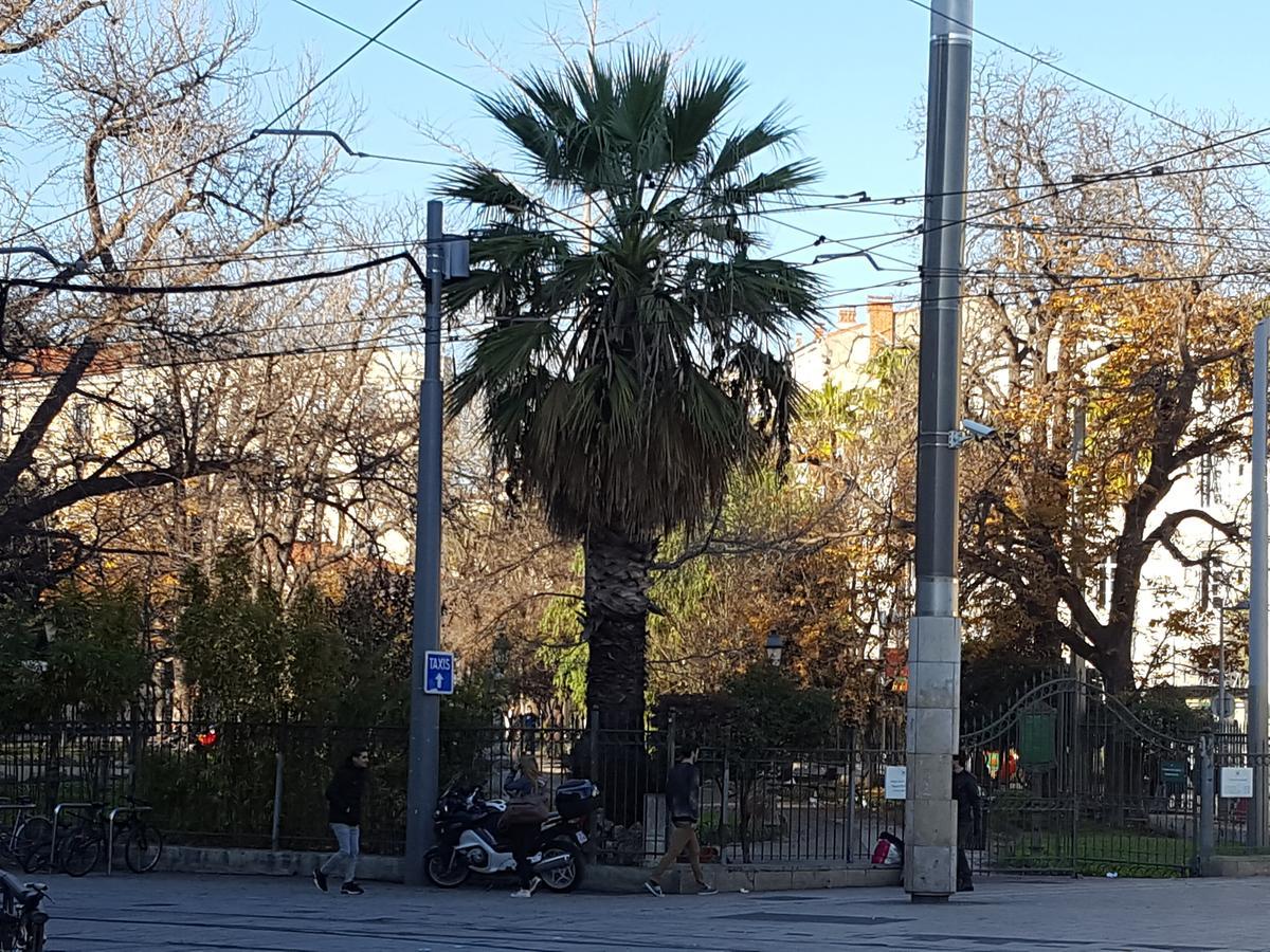 Saint Roch Centre Montpellier